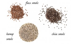 recipegeek-food_talk-spot_the_difference_hemp_chia_amp_flax_seeds_0-300x188